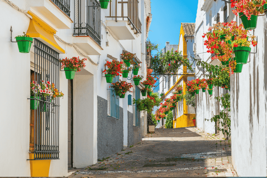 stage padel malaga ville